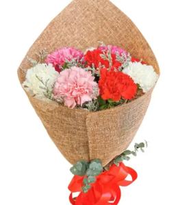 No Border carnation image
