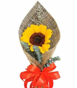 No Sunflowers Dangwa image