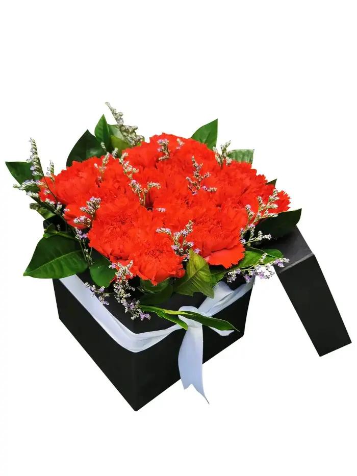 9 Red Carnation in a Box
