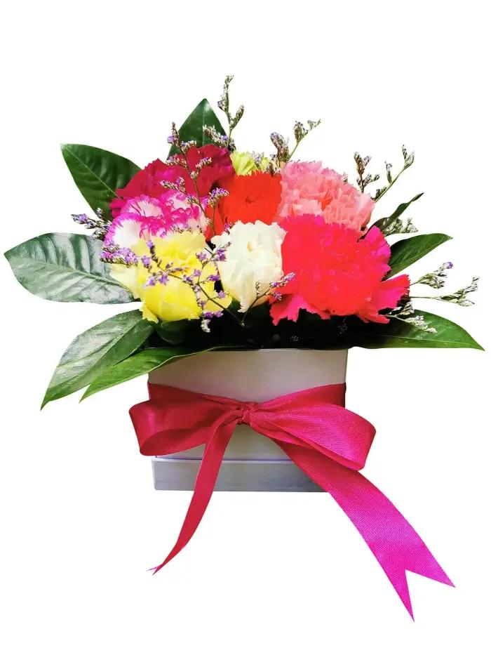 9 Stems Colorful Carnations in a Box